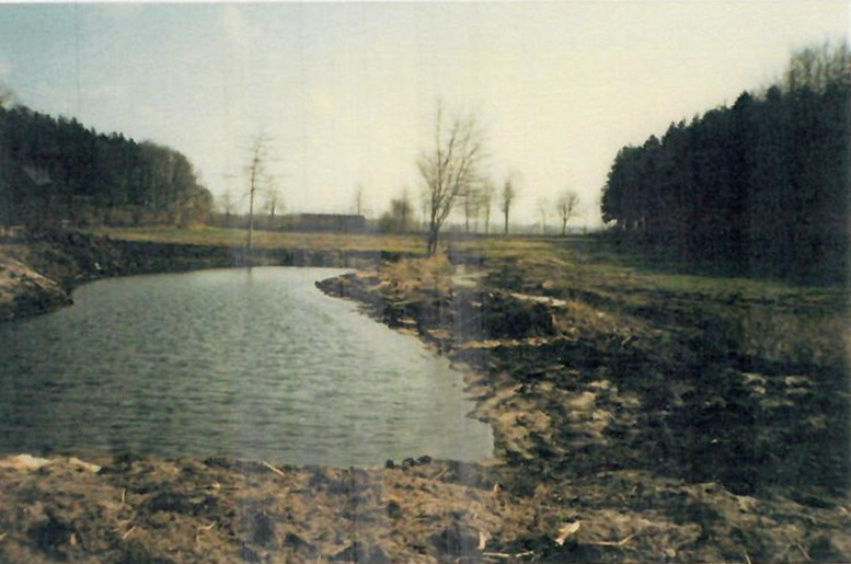 Bild4 12bParadiestal